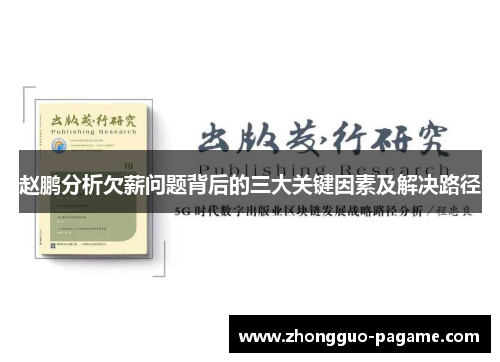 赵鹏分析欠薪问题背后的三大关键因素及解决路径
