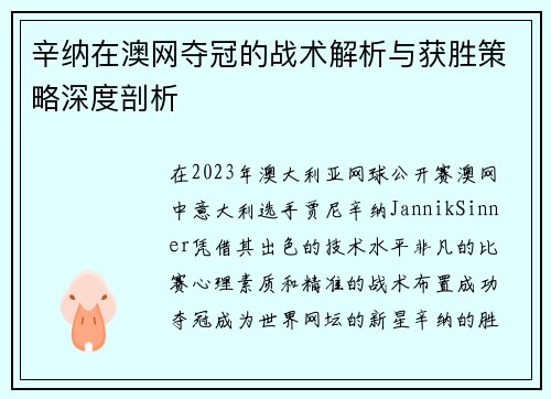 辛纳在澳网夺冠的战术解析与获胜策略深度剖析